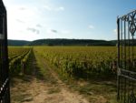 Burgundy – Côte de Nuits and Côte de Beaune